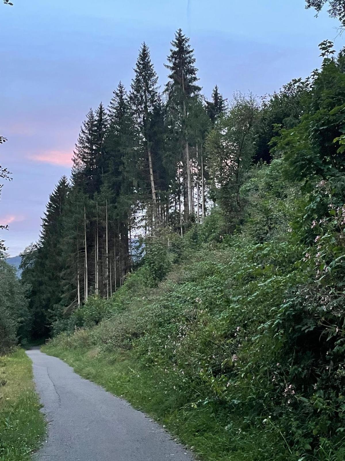 Haus Estelle Sankt Lorenzen ob Murau Exteriör bild